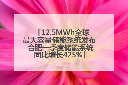 12.5MWh全球最大容量储能系统发布 合肥一季度储能系统同比增长425%